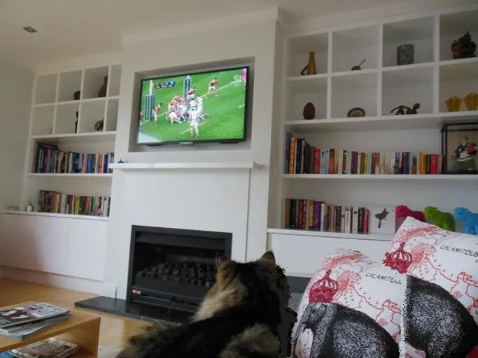 Painted Entertainment Unit