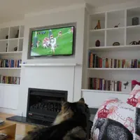 Painted Entertainment Unit